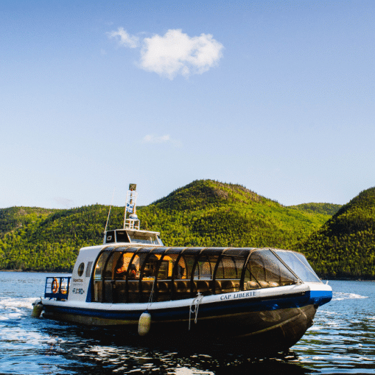 fjord-du-saguenay-croisiere-navettes-maritimes-simplement-spectaculaire-cap-libertecanopee-52-fiche-bateau